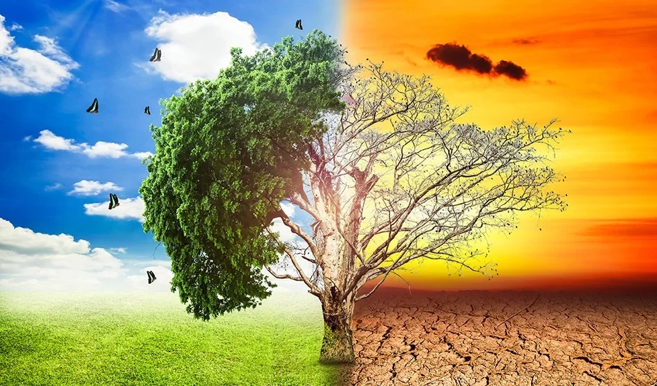 Decoding the Impact of Climate Change